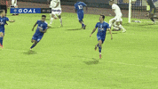 Soccer Celebration GIF by Reno 1868 FC
