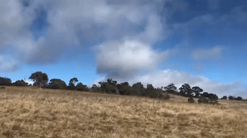 SpaceX Debris Lands on Australian Sheep Farm