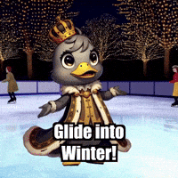 Winter Skating GIF by sirduckbeth