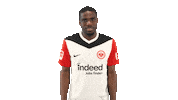 Eintracht Frankfurt Cheering Sticker by Bundesliga