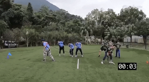 Tiger GIF