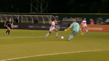 SkyBlueFC goal nwsl celly carli lloyd GIF