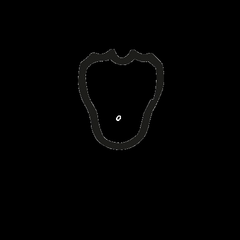 Sheep Lamb GIF by Unit Sheffield