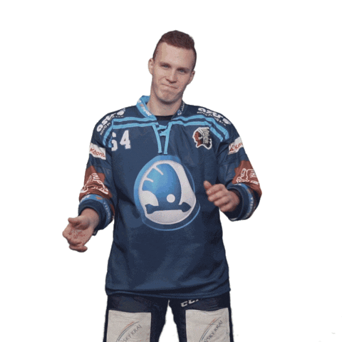 Hockey Applause Sticker by HC Škoda Plzeň