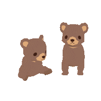Bear Cub Sticker