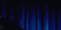 Fat Possum GIF by Magdalena Bay