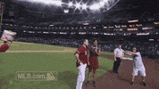 arizona diamondbacks GIF by MLB