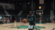 men's basketball GIF by GreenWave