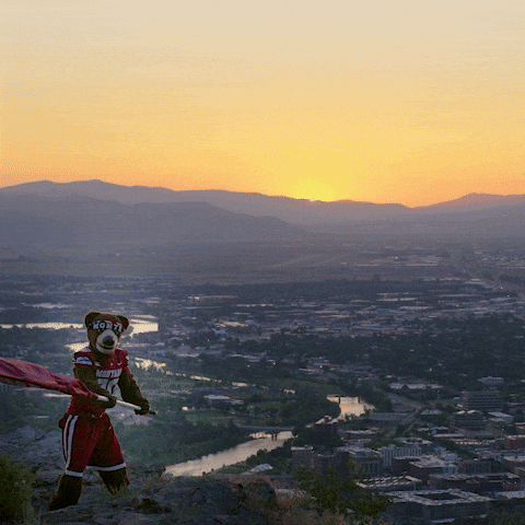 Happy Bear Mascot GIF by Montana Grizzlies