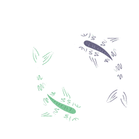Hocus Pocus Sticker by Pitahia