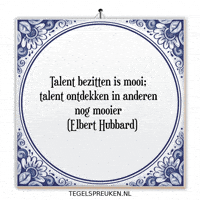 Talent Wijsheid GIF by Tegelspreuken.nl