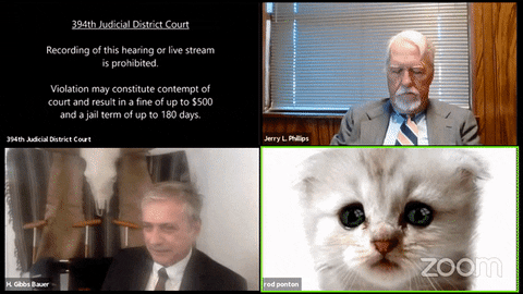 jongalloway giphyupload cat cat-defendant zoom-kitty GIF