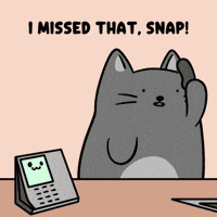 Wait What Oops GIF by MESA My Emotional Support Animal