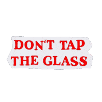 Stop Playing With Me Tyler The Creator Sticker by Mirror