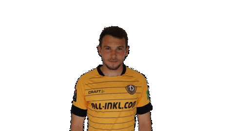 Goal Smile Sticker by SG Dynamo Dresden