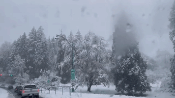 Heavy Snow Causes Travel Delays and Power Outages Across Vancouver