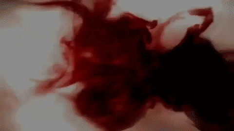 evazlekov giphygifmaker GIF