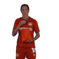 Excited Football Sticker by Bayer 04 Leverkusen