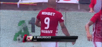the beast celebration GIF by CSKA Sofia FC