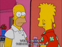 homer simpson GIF