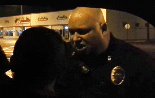 cadelee4e5c giphyupload motherfucker chickenshit chicken shit motherfucker GIF