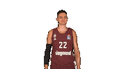 Cheer Yes Sticker by FC Bayern Basketball