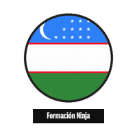 Flag Bandera Sticker by Formación Ninja