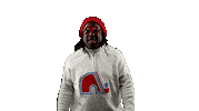 Happy Montreal Canadiens Sticker by BDHCollective