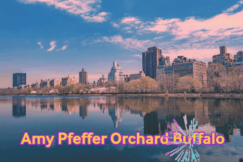 amypfefferbuffalo giphygifmaker giphyattribution amy pfeffer orchard buffalo GIF