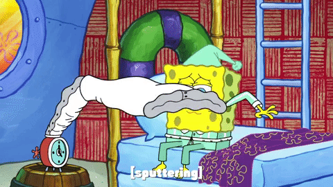 season 9 gary's new toy GIF by SpongeBob SquarePants