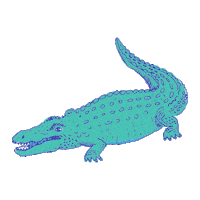 ChubbiesShorts weekend alligator crocodile shorts Sticker
