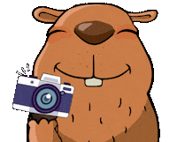 Capivara Cacapava Sticker by Caçapava Oficial