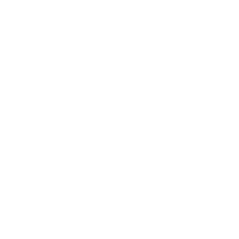 Academy Dex Sticker by BMW & MINI Driving Experience