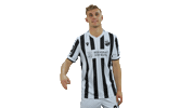 Svs1916 Sticker by SV Sandhausen