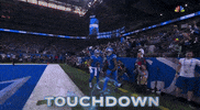 National Football League GIF by NFL
