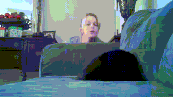 cat confuse GIF