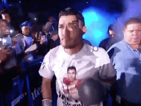 toprank giphyupload fight boxing fighting GIF