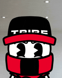What The Hell Wtf GIF by Tribe Gaming