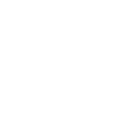 Vegan Veg Sticker