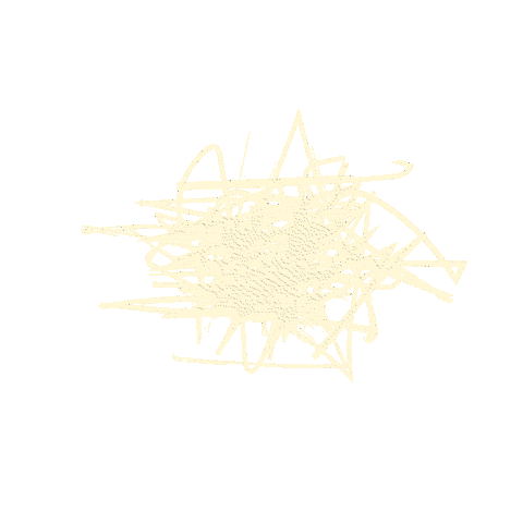 Focusjarifa Sticker by FOCUS Bikes