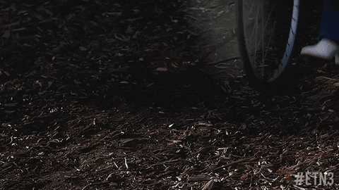 joey graceffa etn3 GIF by RealityTVGIFs