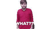 What The Hell Wtf Sticker by Raghav Bansal