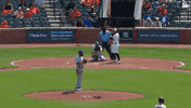 Blue Jays Baseball GIF by Toronto Blue Jays