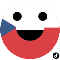 Happy Euro 2020 Sticker by TikTok