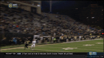 hand int GIF