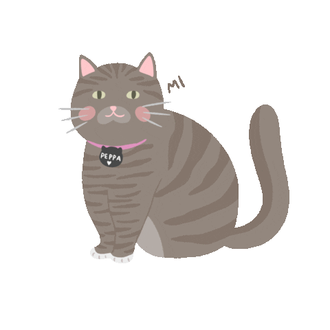 Cat Sticker