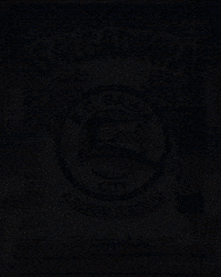 Ecvitoria Sardinha GIF