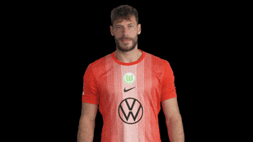 Germany Deal With It GIF by VfL Wolfsburg