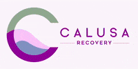 CalusaRecovery calusa GIF