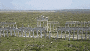 Syria GIF